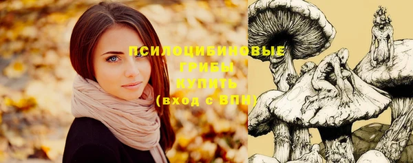 бошки Медногорск